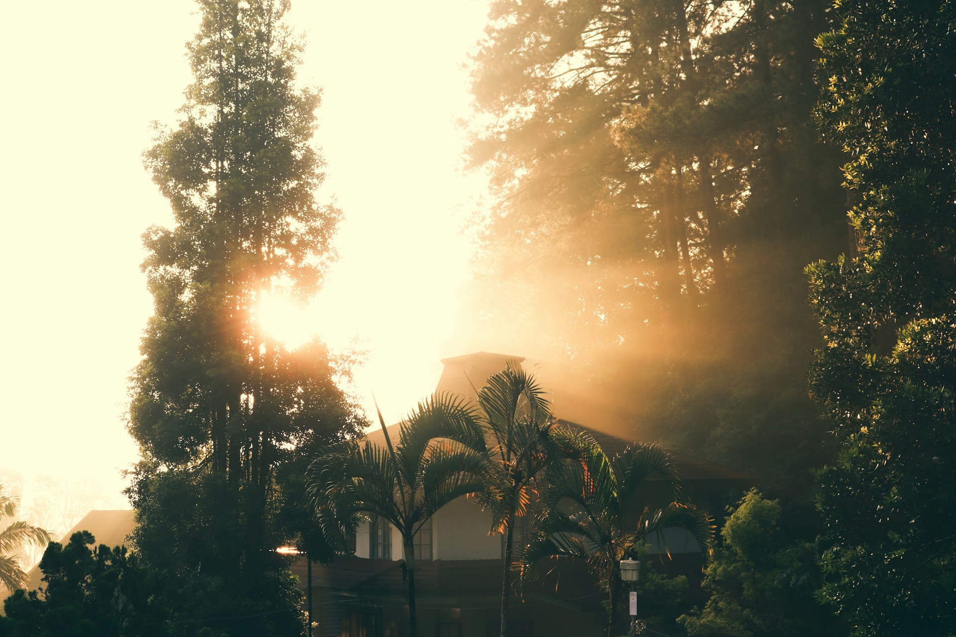 Mastering Golden Hour: Beyond the Basics
